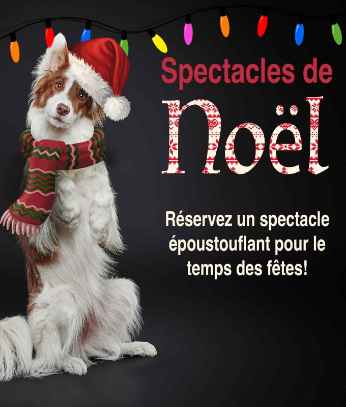 Un Bizou Pour Noël